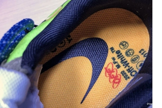Zoom Kiger 5 Terra CD8179-300 x Nike O-W 0912